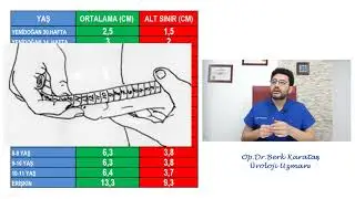 Penis Boyu Kaç Yaşına Kadar Uzar ?  Çocuğumun Penis Boyu Normal mi ?