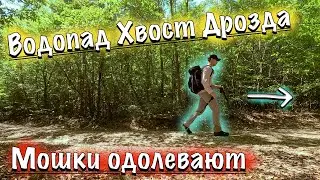 ВОДОПАД ХВОСТ ДРОЗДА - ИЛИ КУДА СХОДИТЬ НА ВЫХОДНЫЕ В ГЕЛЕНДЖИКЕ?