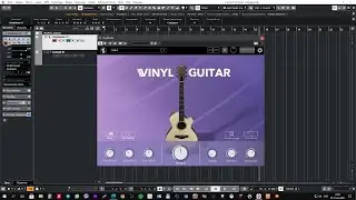 ESW Vinyl Guitar Free VST