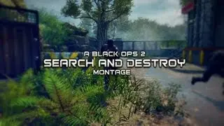 UKG AaroN: Black Ops 2 Search and Destroy Montage