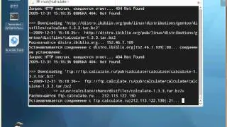 Установка и первоначальная настройка Calculate Linux Desktop 10