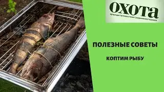 Как коптить рыбу? Полезные советы от журнала Охота