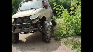 Бегемот растёт, скоро поездка