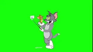 Tom & Jerry selfie in green screen