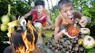 Meet snail in jungle, cooking eating delicious  Primitive technology