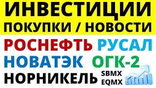 Какие купить акции? Роснефть Северсталь Норникель Русал Русгидро Дивиденды Как инвестировать?