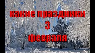 какой сегодня праздник? \ 3 февраля \ праздник каждый день \ праздник к нам приходит \ есть повод