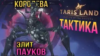 Tarisland - Королева пауков (Элит) - Гайд. Тактика - бей и беги, истребляй пауков.