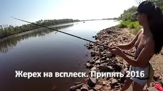 Жерех на всплеск Припять Pripyat' river. GoPro