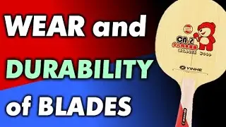 BLADE durability, how long is table tennis BLADE LONGEVITY before it wear out, when renew old blade