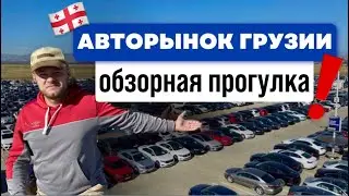 Прогулка обзор по авторынку Грузии. Огромный объем автомобилей. Кавкасус и Автопапа. 8.10.2023 г.