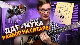 ДДТ Муха разбор на гитаре 🎸 аккорды кавер табы | pro-gitaru.ru