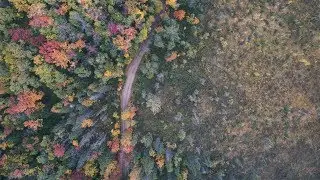 Stock Footage: Download Aerial Autumn Fall Foliage Stock Video