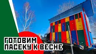 Подготовка пасеки к весне