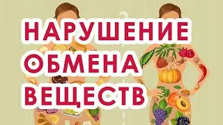 Как диагностировать и профилактировать нарушения метаболизма. Набор LR 