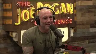 Joe Rogan Experience #2004 - Ice Cube