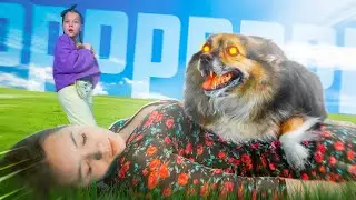 My dog is evil ?! Rescue hater's dog from captivity!