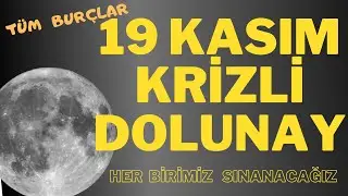 19 Kasım Boğa Dolunayı Krizli & Sürprizli 