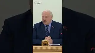 Требование Лукашенко. «Политзаключенных» на просеку! Кто расчистит завалы после урагана