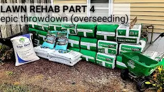 😏 Overseeding // Spreading Fertilizer // Peat Moss