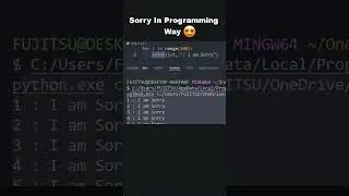 I Am Sorry In Programming Way  😍 