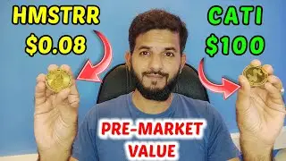 Hamster Kombat vs Catizen Real Value | $HMSTR vs $CATI | Real price of Hamster Kombat vs Catizen pre