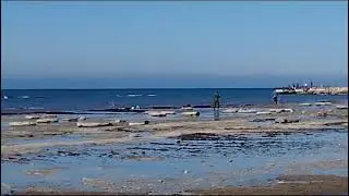 рыбалка в Каспийском море г.Актау 25.10.2023 / fishing / shorts