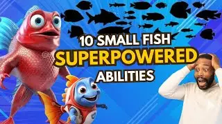 Superpowered Fish? 10 Small Fish with incredible abilities!