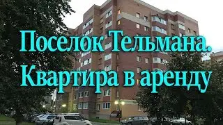 Поселок Тельмана | Квартира в аренду | Снять квартиру в Тельмана | Риэлтор Колпино