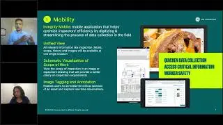 A Mobile Application for Inspectors in the Field