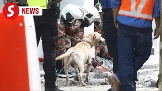 KL sinkhole: Frankie and Denti return to search for victim