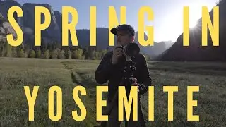Springtime Landscape Photography In Yosemite
