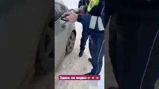 ДПС ГИБДД потерял фиксика