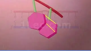 Thymine Dimers