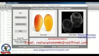 Fruit Identification Using CNN Matlab Project With Source Code Fruit Detection Fruit Recognition