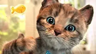 Little Kitten Preschool Adventure Education Games iOS Kids Play Fun Cute Kitten Pet Care Learn 