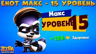 КАЧАЕМ ЕНОТА МАКСА НА 15 УРОВЕНЬ В ИГРЕ ZOOBA