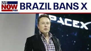 Brazil X ban: Elon Musk's platform will stay blocked | LiveNOW from FOX