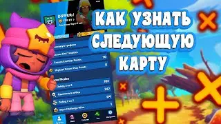 Как узнать следующую карту?|ОБЗОР ПРОГРАММЫ ЗА 1 МИНУТУ!!!