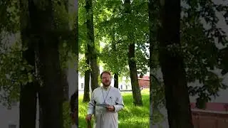 Старцы-отшельники шутят| № 12 #shorts
