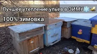 утепление ульев в зиму камышом
