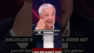 Melekler İnsan Kılığına Girer Mi? Melekler İnsan Olarak Gönderilir Mi? Prof. Dr. Mehmet OKUYAN