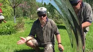 Как правильно корчевать пни на даче? Хоть корчуй, хоть не корчуй, все равно получишь.....