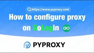 PYPROXY|How to configure proxy on GoLogin？