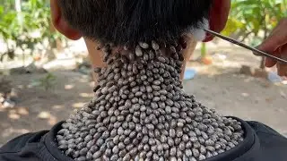 Существа, которые могут проникнуть внутрь нас!