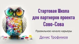 Стартовая школа для партнеров проекта Сово Сова. Для новичков. Денис Трофимов