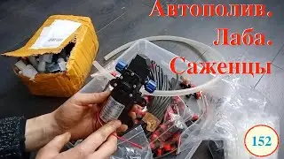 [152] Автополив на стеллажах. Ламинары в нашей лабе. Сотни банок со средой. Саженцы