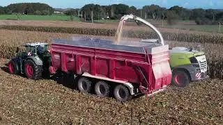 ENSILAGE DE MAÏS ÉPI | JAGUAR 970 - ETA DOLO