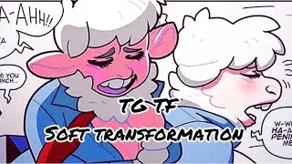 TG TF • Soft transformation