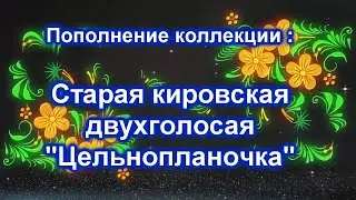 Пополнение коллекции - Двухголосая "Кировчанка" 1953г.р. прибыла на восстановление !